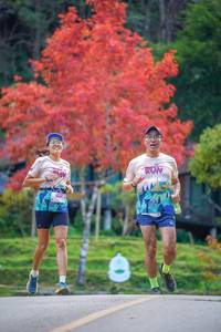 BIB: 
                            <button type="button" onclick="openModal(19239789)" class="btn btn-primary btn-sm float-right btn-popup" data-toggle="modal" data-target=".modal-high-quality">
                        <i class="fas fa-shopping-cart"></i> Add to Cart
                    </button>
                                            <button type="button" onclick="isThisMe(19239789, true)" class="btn btn-success btn-sm float-right btn-popup btn-isme hidden" data-toggle="tooltip" data-placement="bottom" title="นี่คือรูปของคุณใช่ไหม คลิกที่นี่เพื่อเอาเข้าอัลบั้ม">
                        <i class="fas fa-plus"></i> Add to album
                    </button>
                    <button type="button" onclick="isThisMe(19239789, false)" class="btn btn-warning btn-sm float-right btn-popup btn-isnotme hidden">
                        <i class="fas fa-ban"></i> Remove from album
                    </button>